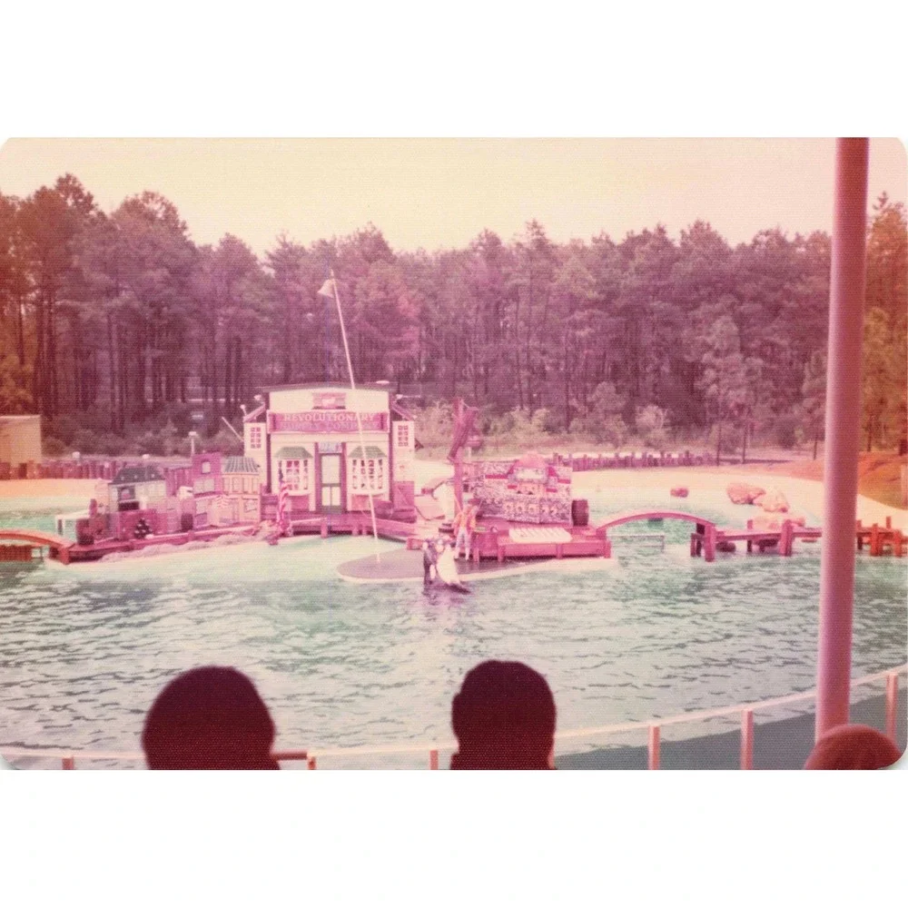 Vintage 1970s Six Flags Great Adventure Orca Water-Ski Show Photo Lot of 11 - Picture 8 of 11